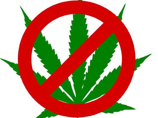 Cannabis Legalization and the impact on K-12 education in Comox Valley Schools Featured Photo