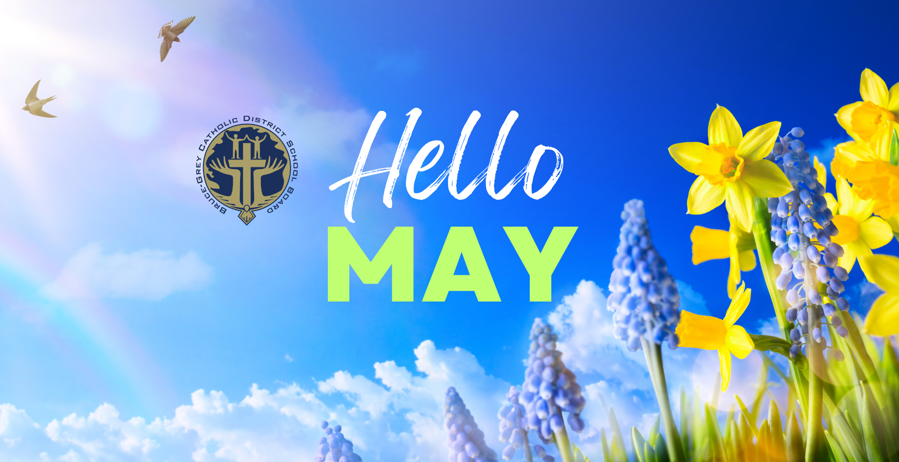 Hello May