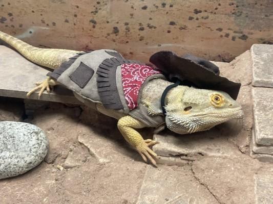 BRE Friday Communicator Apr 26th