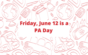 Professional Activity Day