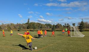 Two teams on a soccer field, one team in yellow jerseys, the other team in orange jerseys.  An action shot with a player form the yellow team kicking the soccer ball. Also in the picture is a soccer net and referee.  The back ground of the picture is a treed area.