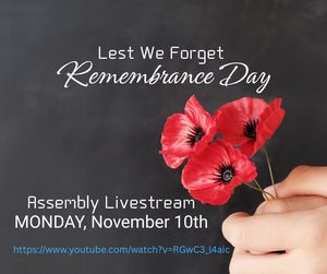 A hand holding poppies