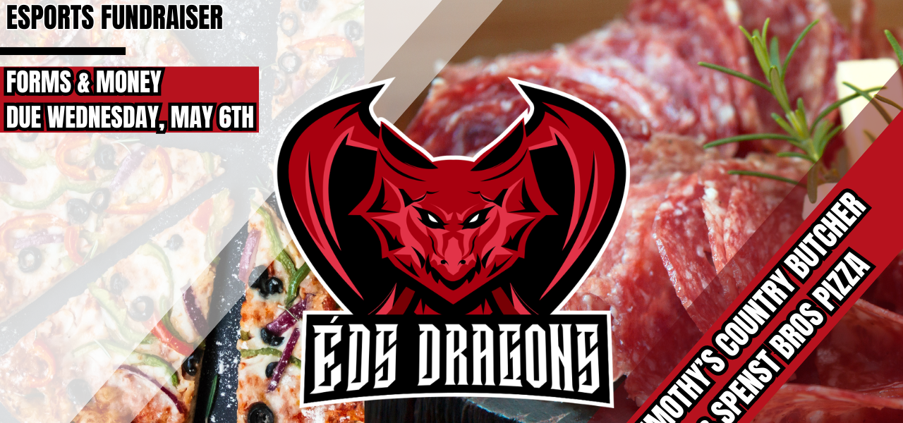 Esports Fundraiser
