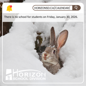 A grey rabbit peeks out from a snow-covered burrow, its fur dusted with snowflakes. The surrounding landscape is blanketed in white. Overlaid text announces no school for students on Friday, January 30, 2026. A notification bar at the top displays "HORIZONSD.CA/CALENDAR/," and the Horizon School Division logo appears in the bottom left corner.
