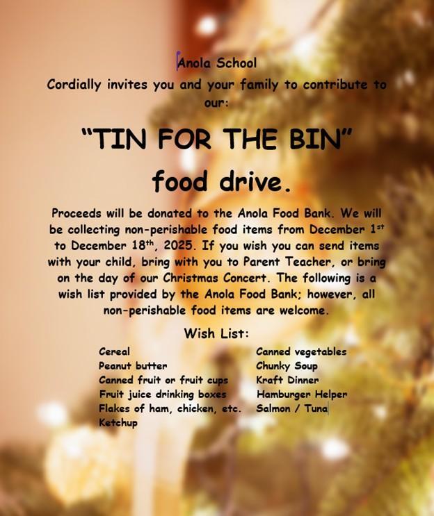 Gold Christmas Background explaining Tin for the Bin donations.