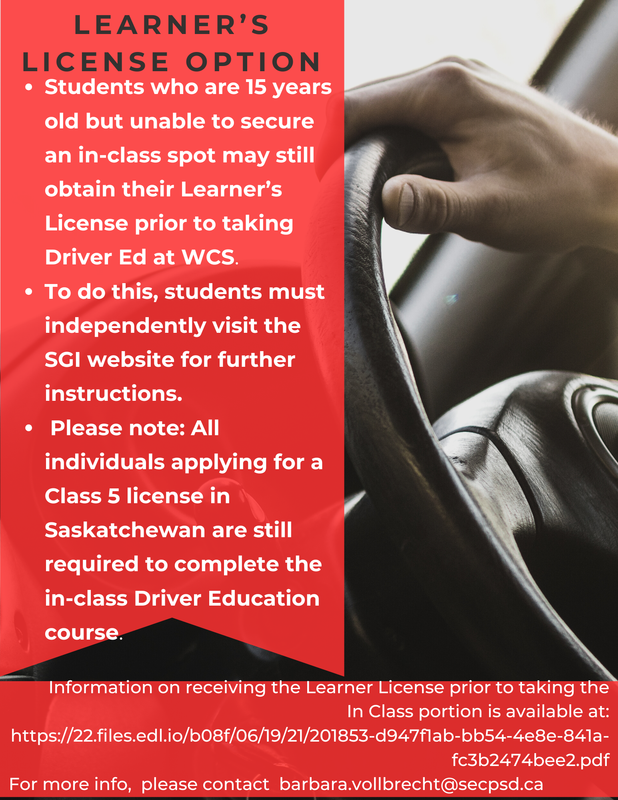 learner's licence option.png