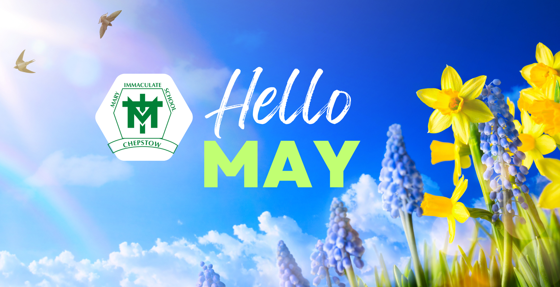 Hello May