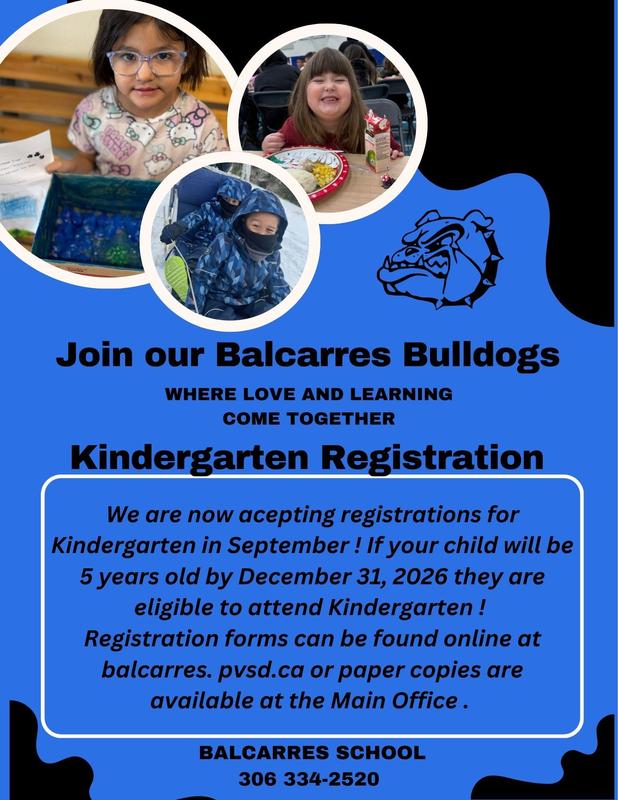 A promotional poster for Balcarres School titled 'Join our Balcarres Bulldogs: Where Love and Learning Come Together.' The top half features three circular photos: a girl working on a craft, a girl smiling at lunch, and two children playing outside in winter gear. A blue bulldog mascot logo is to the right. The main text inside a blue box reads: 'Kindergarten Registration: We are now accepting registrations for Kindergarten in September! If your child will be 5 years old by December 31, 2026, they are eligible to attend Kindergarten! Registration forms can be found online at balcarres.pvsd.ca or paper copies are available at the Main Office.' The school's contact information is listed at the bottom as: BALCARRES SCHOOL | 306 334-2520.