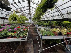 greenhouse