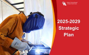 2025-2029 Strategic Plan