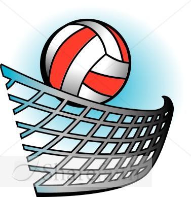 Volleyball and net