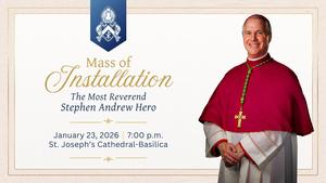 hero installation.jpg