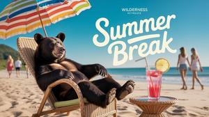 Bear on Summer Break