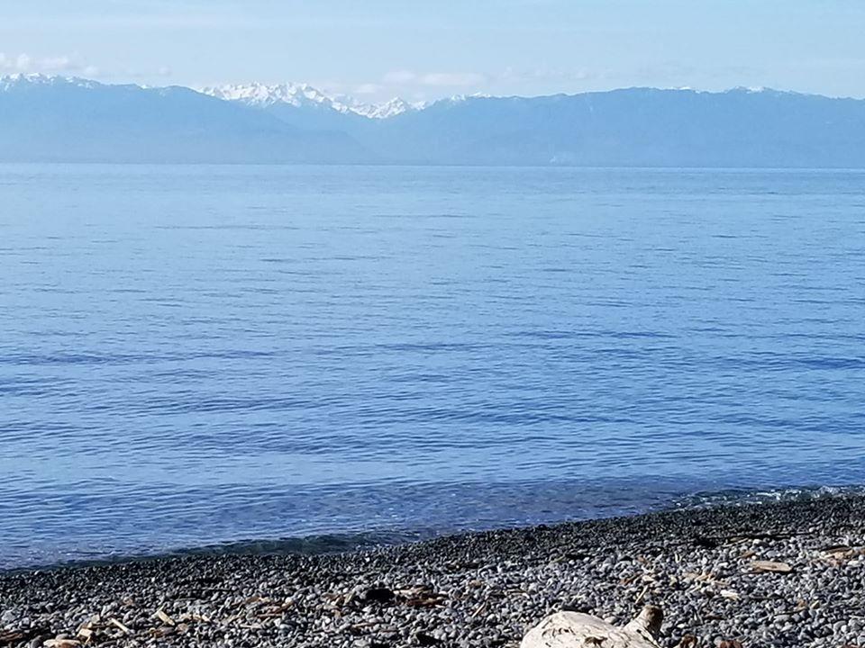 ocean view