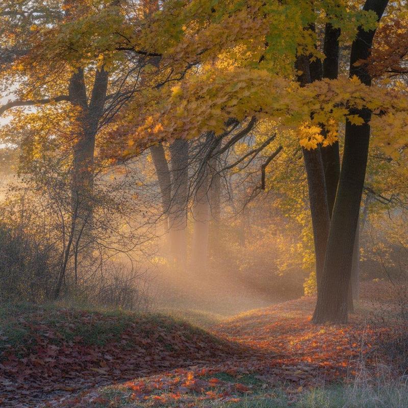 November School Calendar Featured Photo