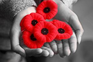 Hands holding poppies