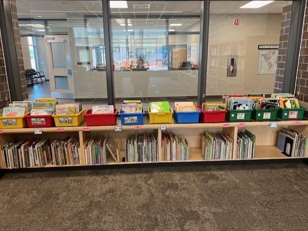 Picture book shelves image