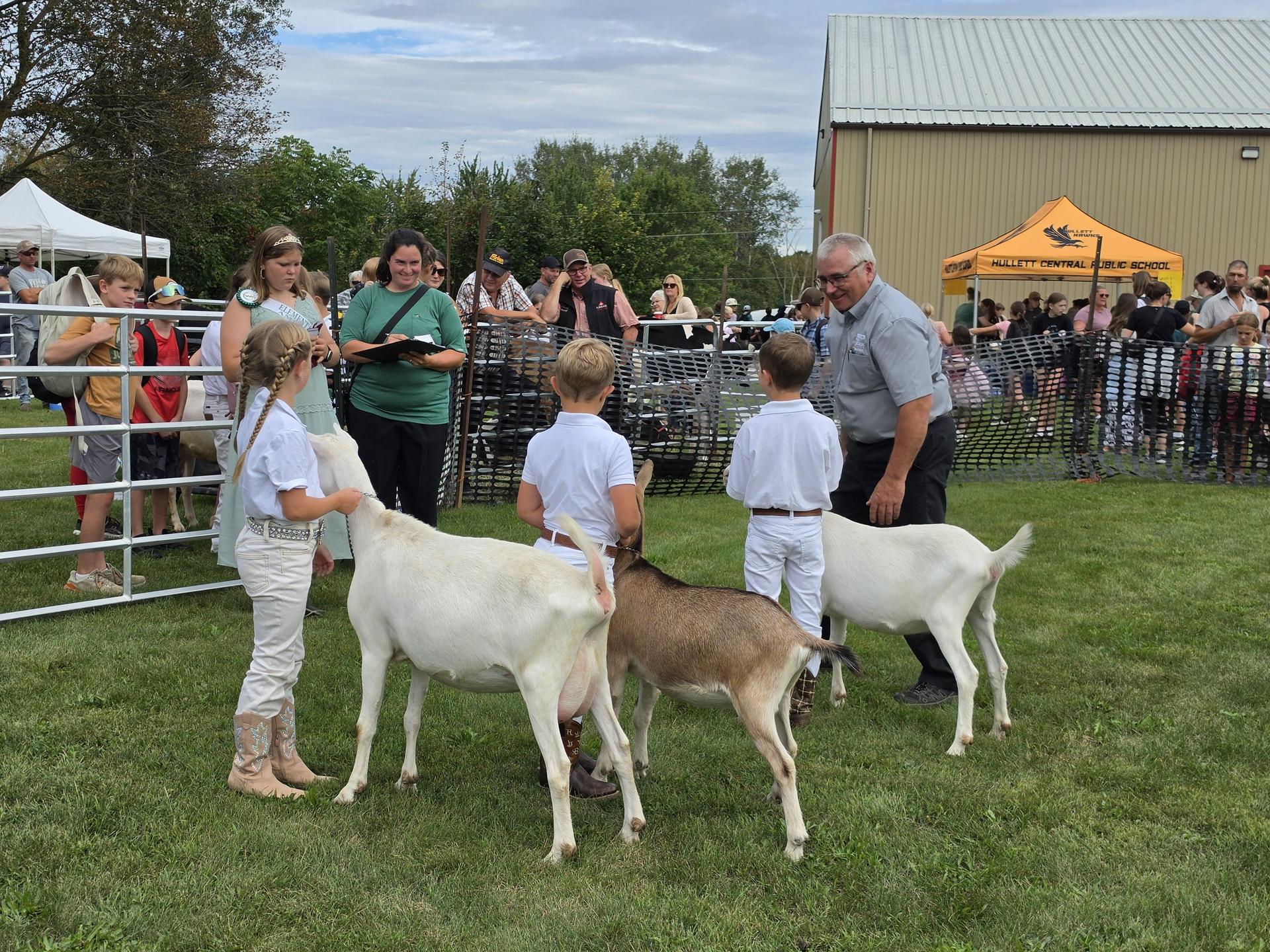 Young children holding goats in a 4-H showcase