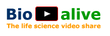 BioAlive