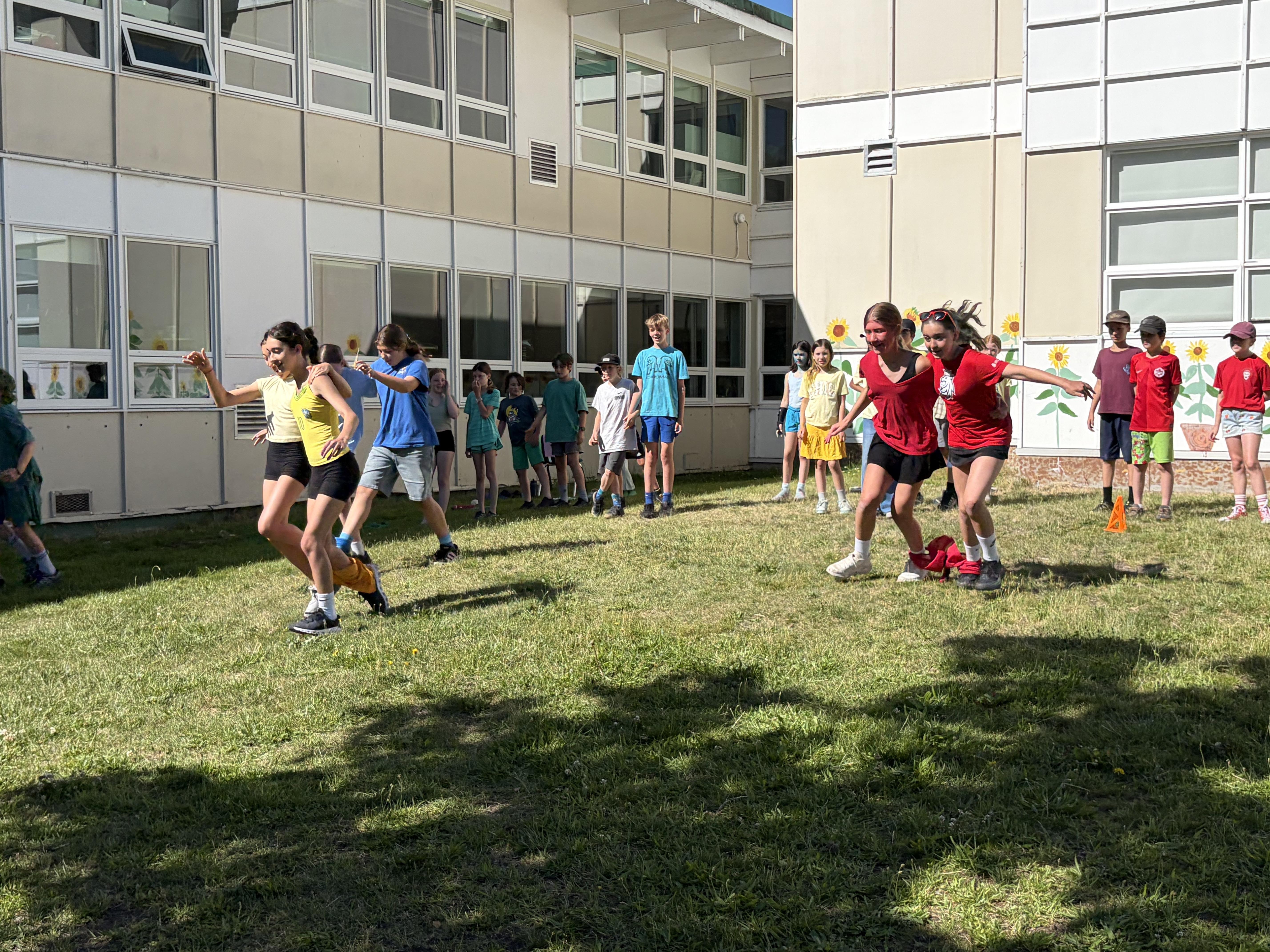 sports 