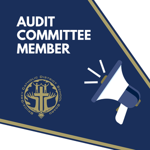 Audit.png