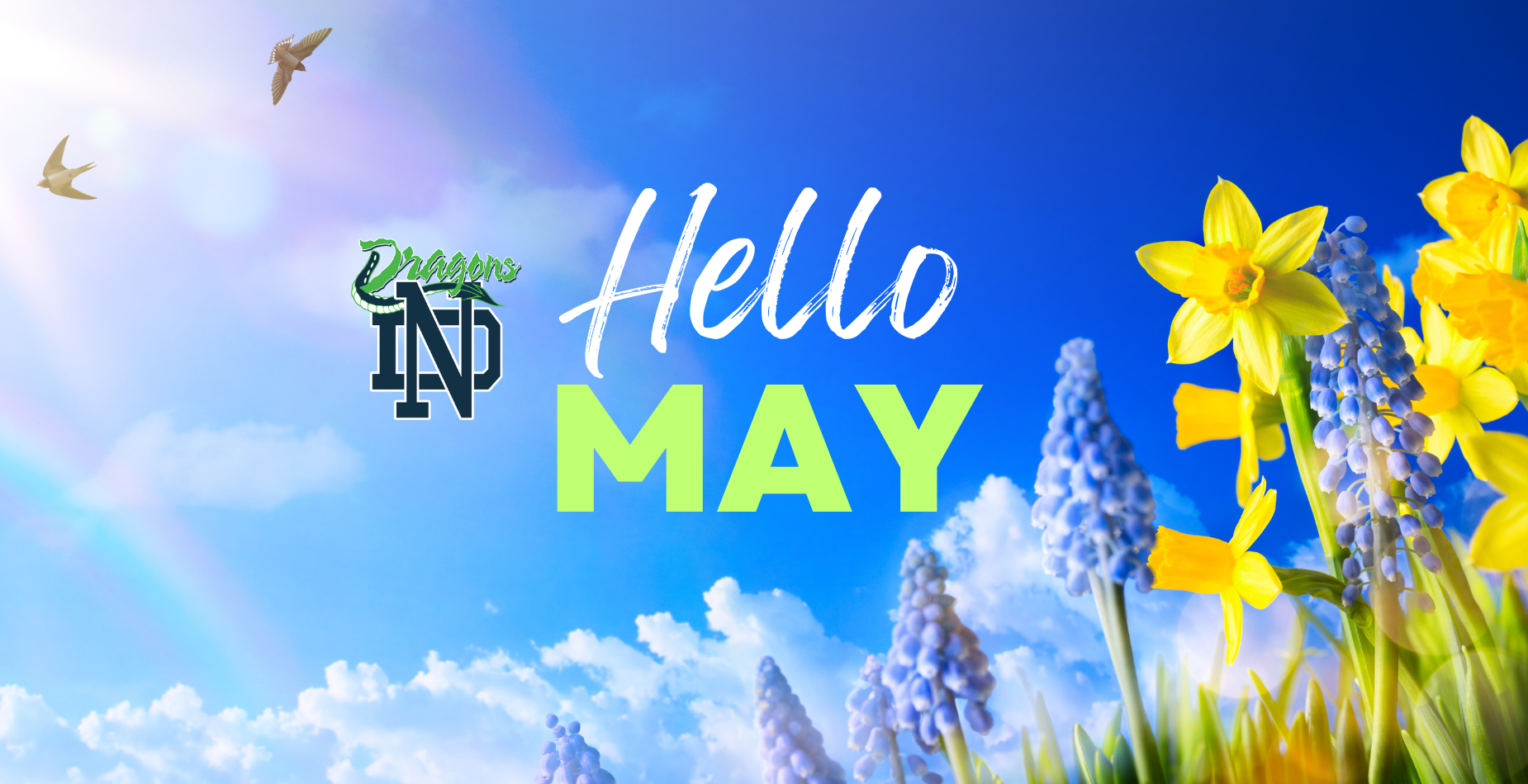 Hello May