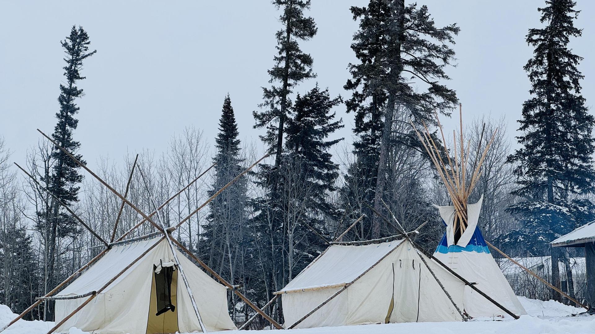 Tents set up in a snowy area, with evergreen trees in the background.