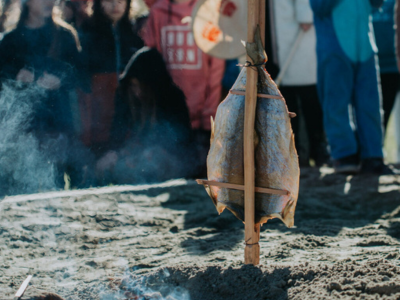Local Food in K-12 Schools: Sea to Sky School District Featured Photo