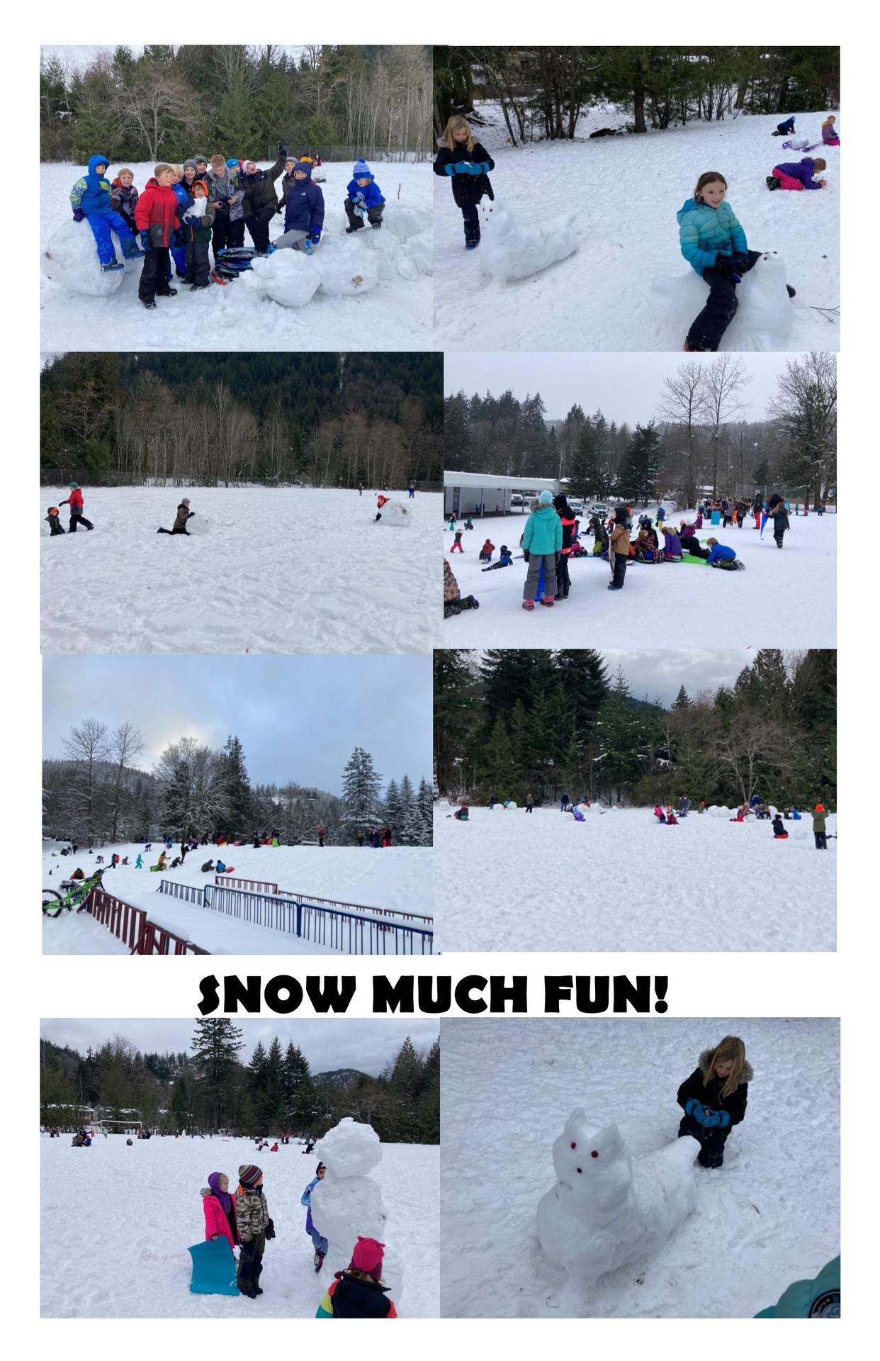 Snow Day