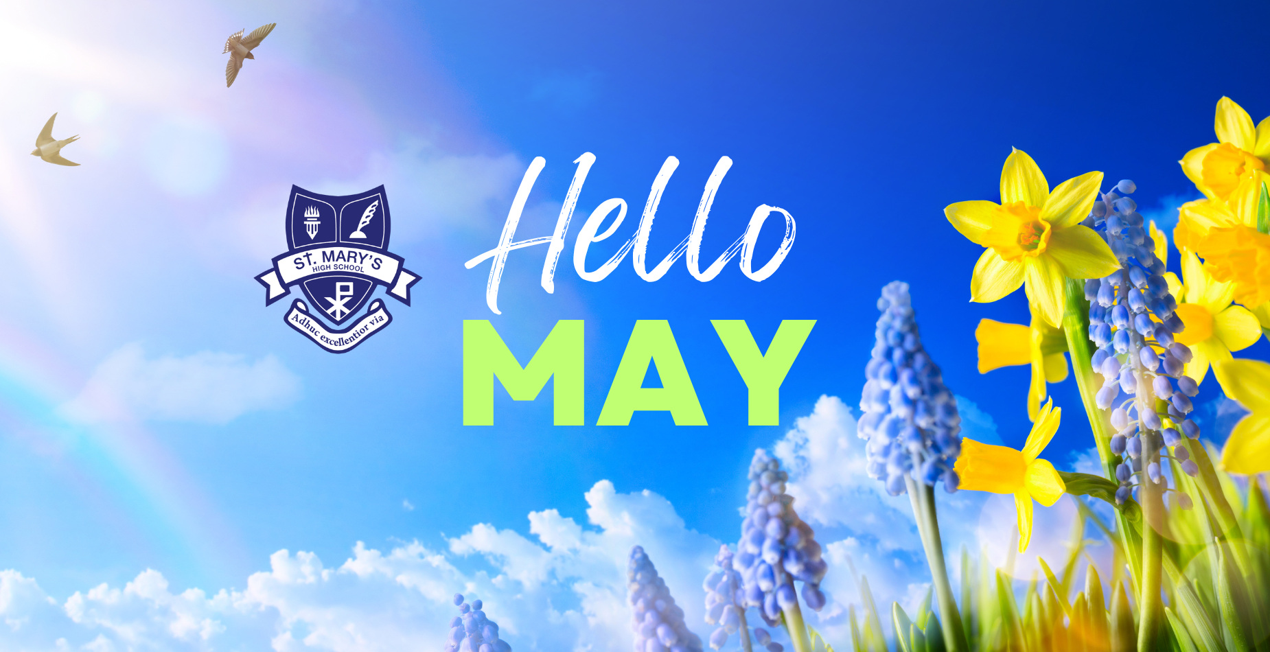Hello May