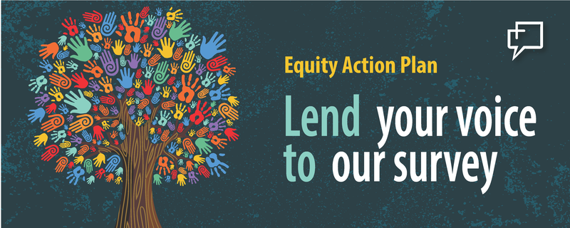 Equity Action Plan Banner