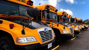 323_Bus_1600.jpg