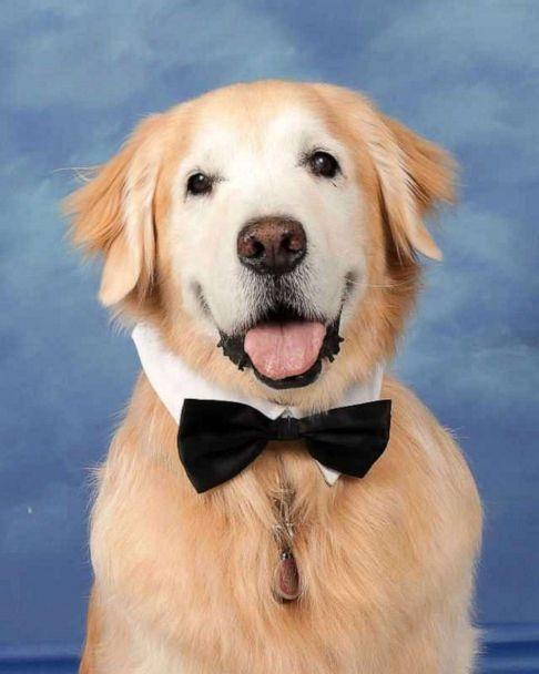 doggypic