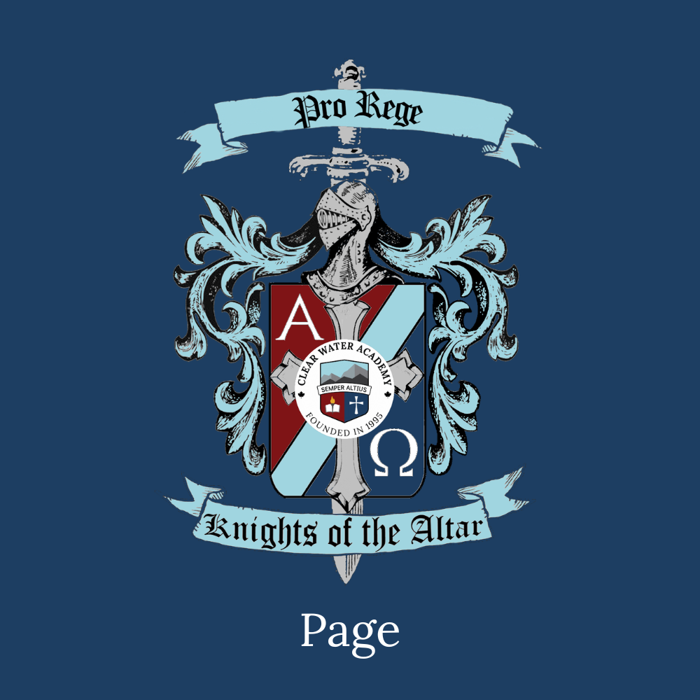 Page Icon