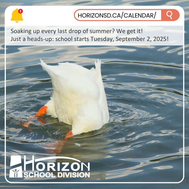 A white duck with its head submerged and tail up in the water, appearing to dive. Overlaid text reads: 