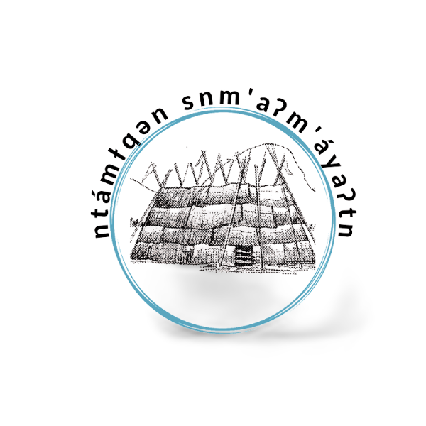 NtamtqenAdministration's Profile Photo