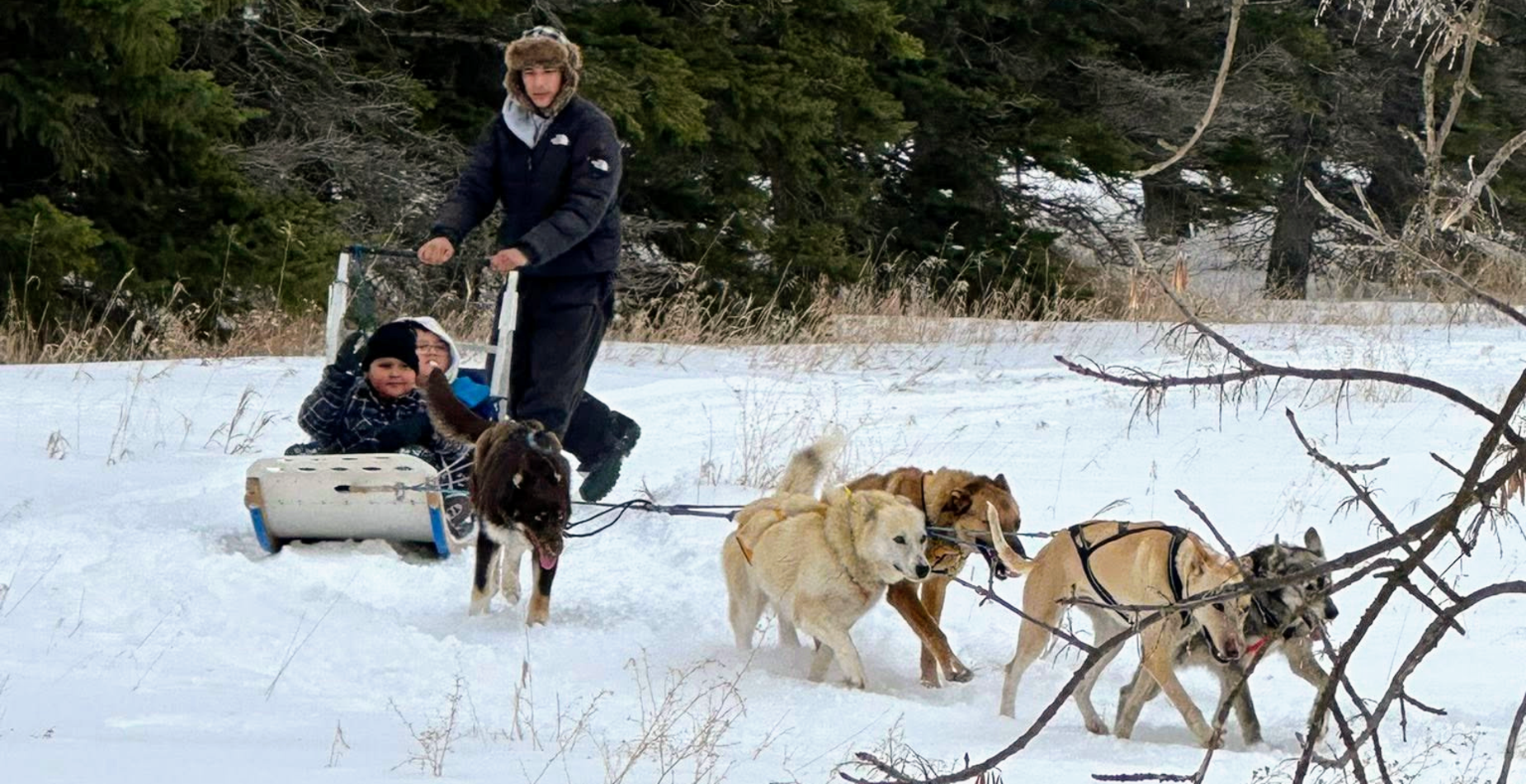 Children riding in a dog sled pulled by a team of huskies through a snowy field.