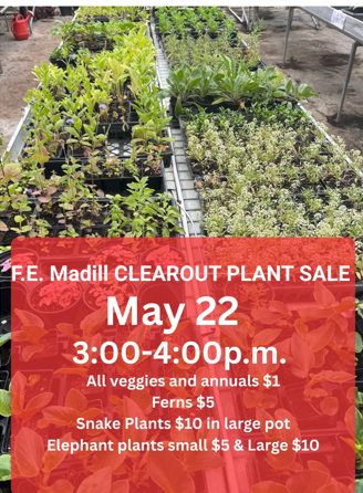 Plant Clearout Sale
