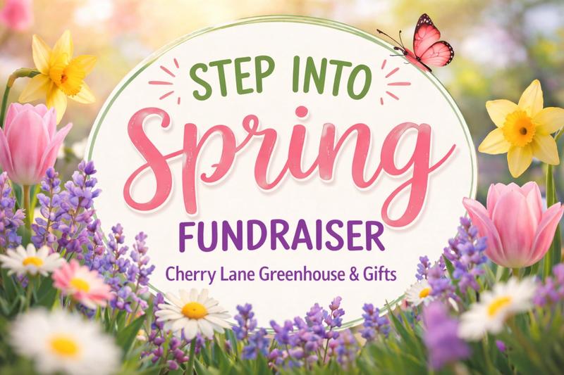 step into spring poster