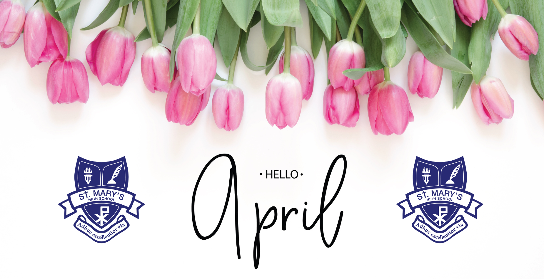 Hello April