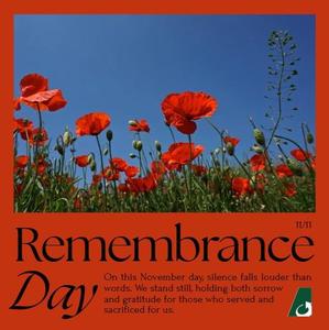 Remembrance Day Feature