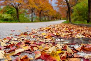 fall