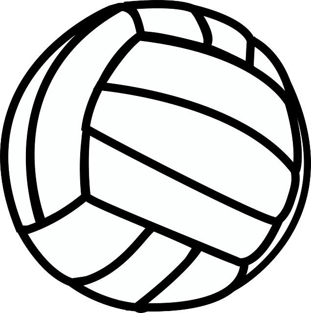 Graphic of a volleyball