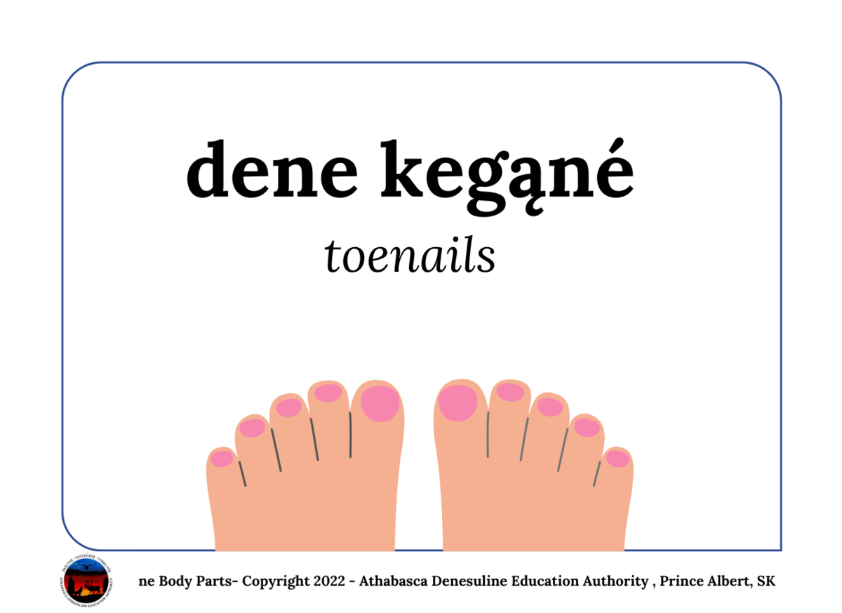 toenails