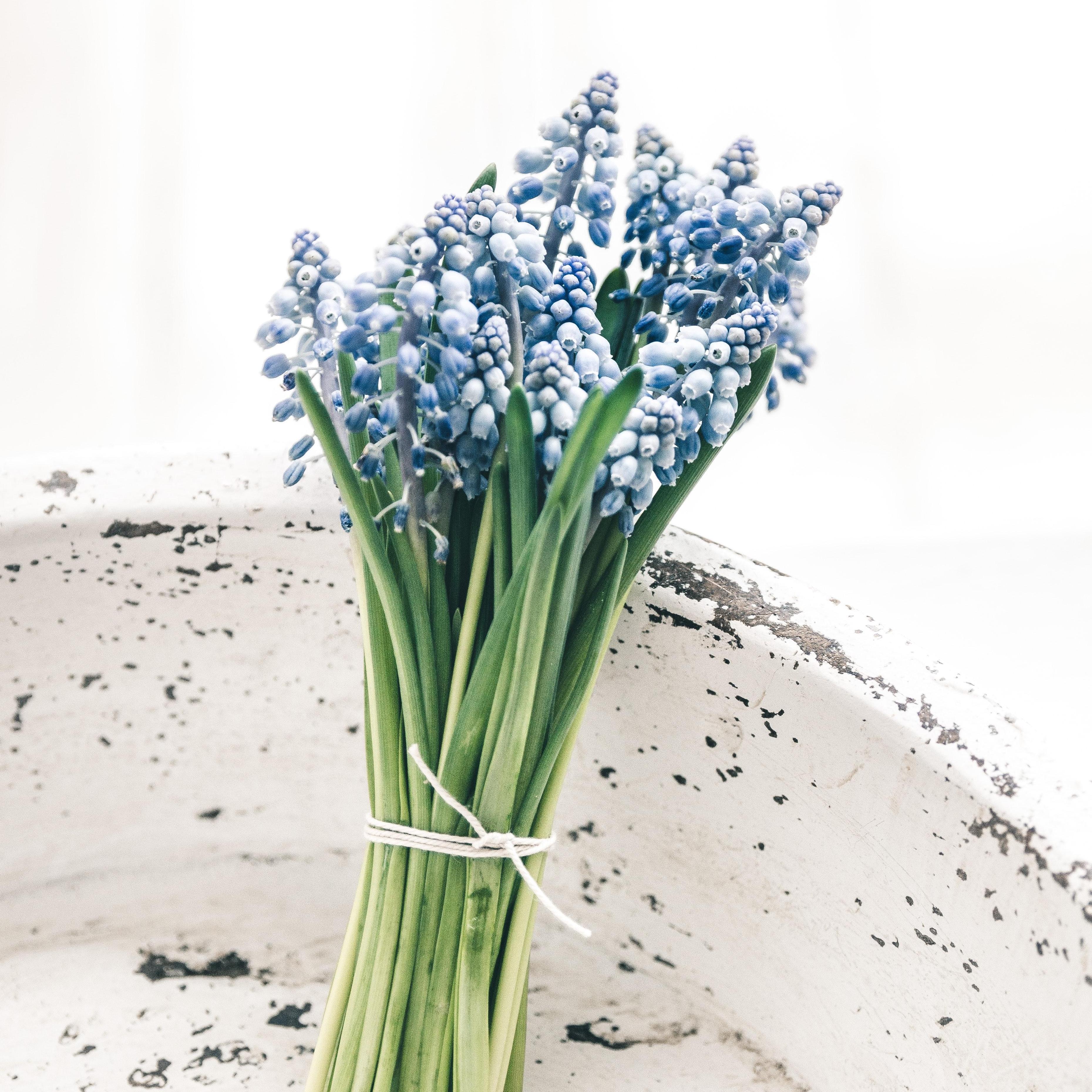 CathyMcDonald's Profile Photo