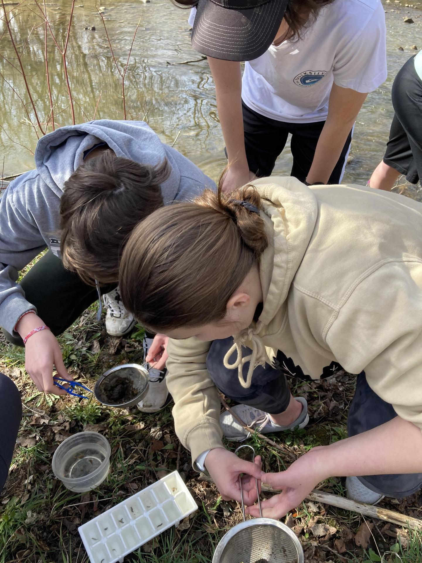 Students looking down at science equipment