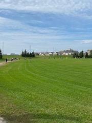 loftus