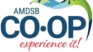 amdsb co-op