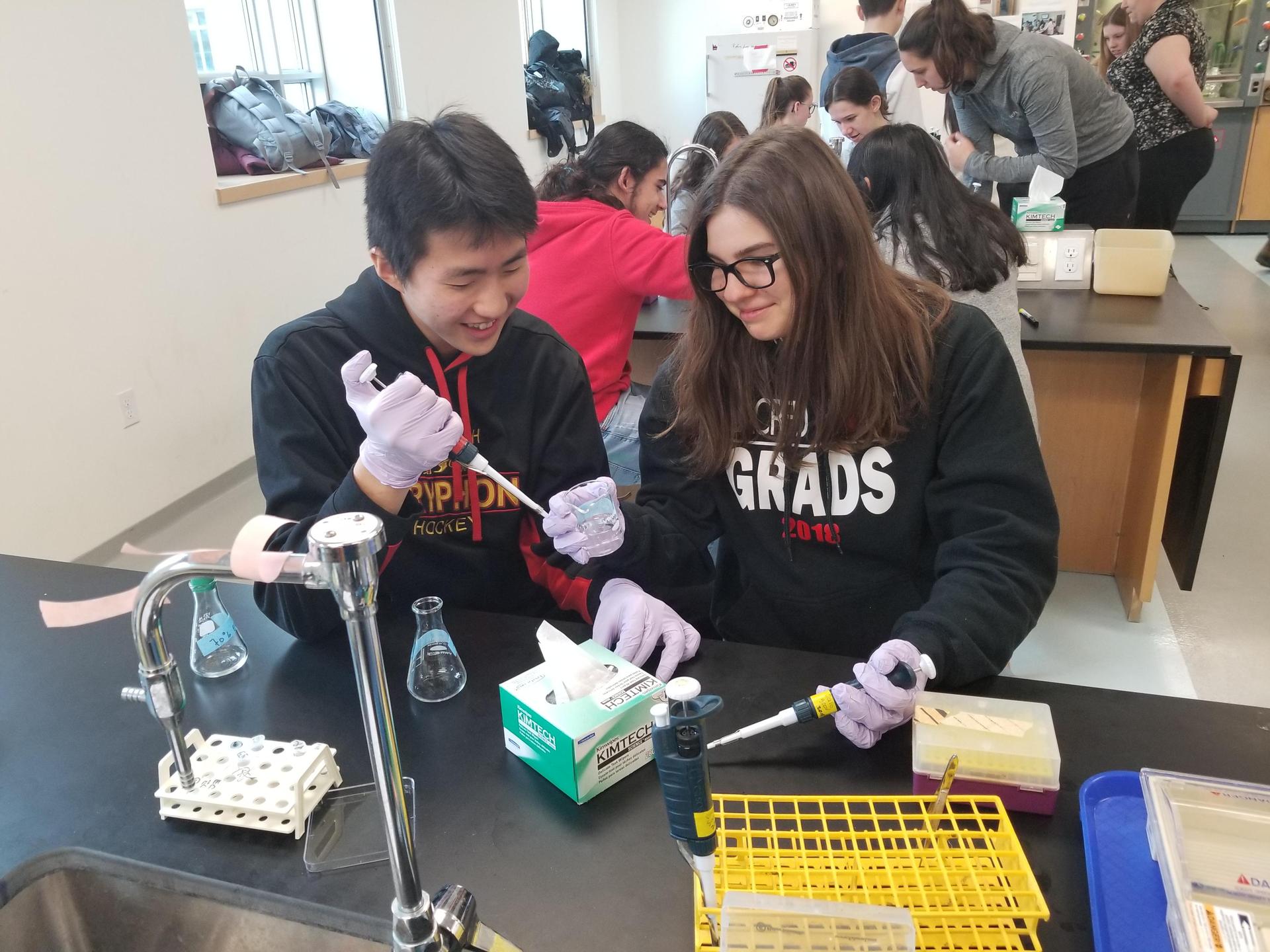 students graf sweater