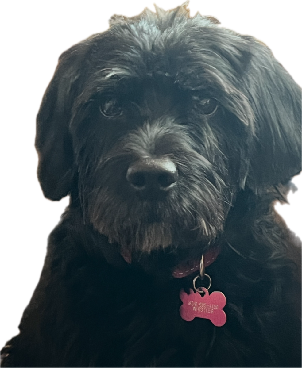 Roxy